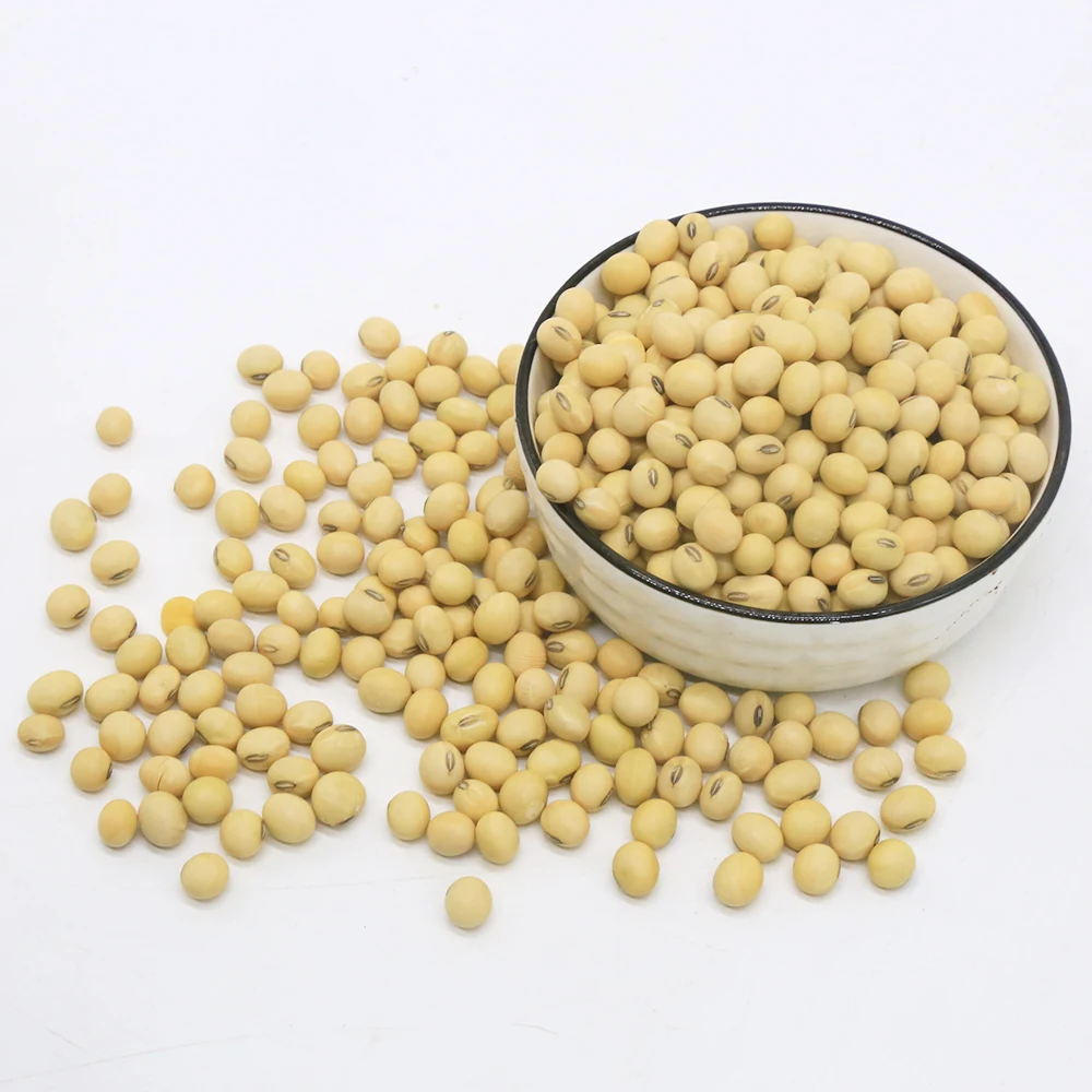 Non GMO Yellow Soybean