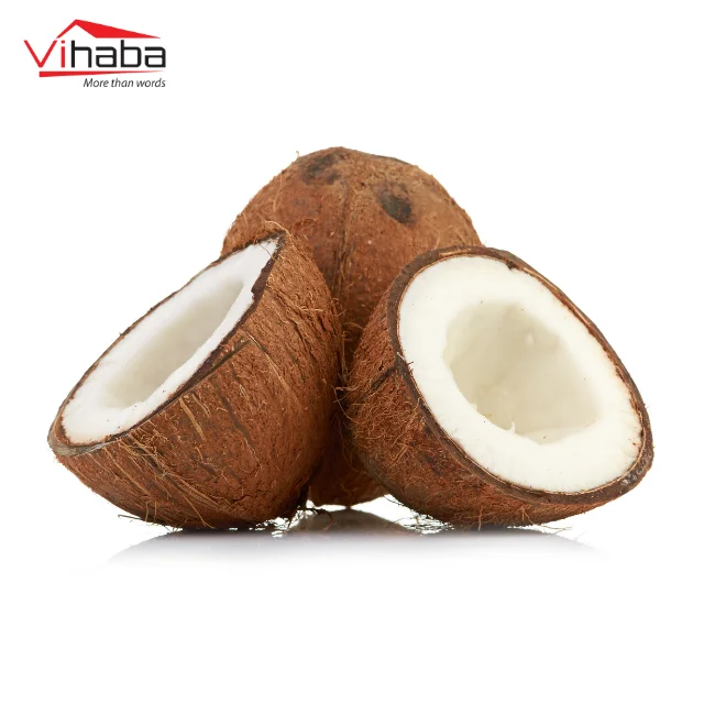 Supplier dessicated coconut low fat desiccated coconut low fat snacks food coconut powder