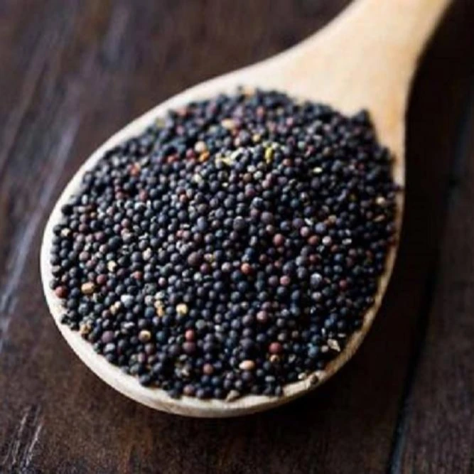 First Grade Organic Mustard Seeds Wholesaler in Germany
