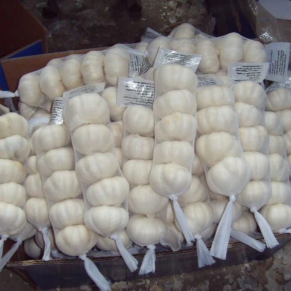 Chinese Low Price Fresh Garlic White Garlic Normal White Garlic