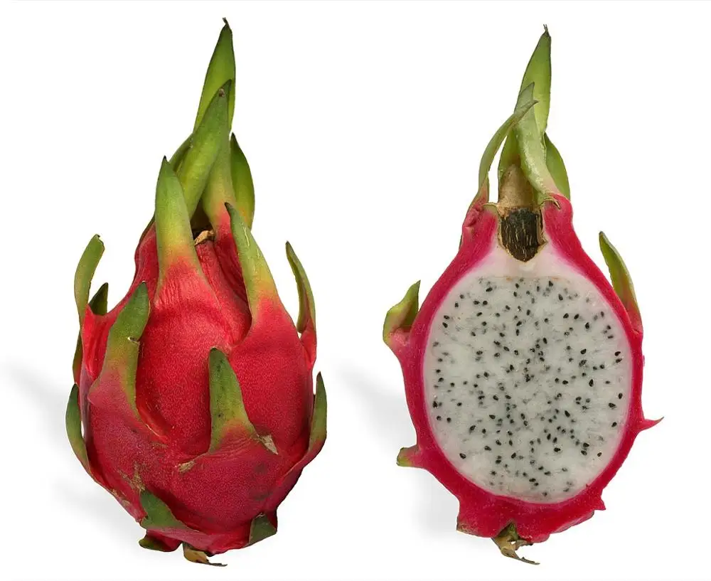 
High quality Fresh Dragon Fruit Form Thailand 