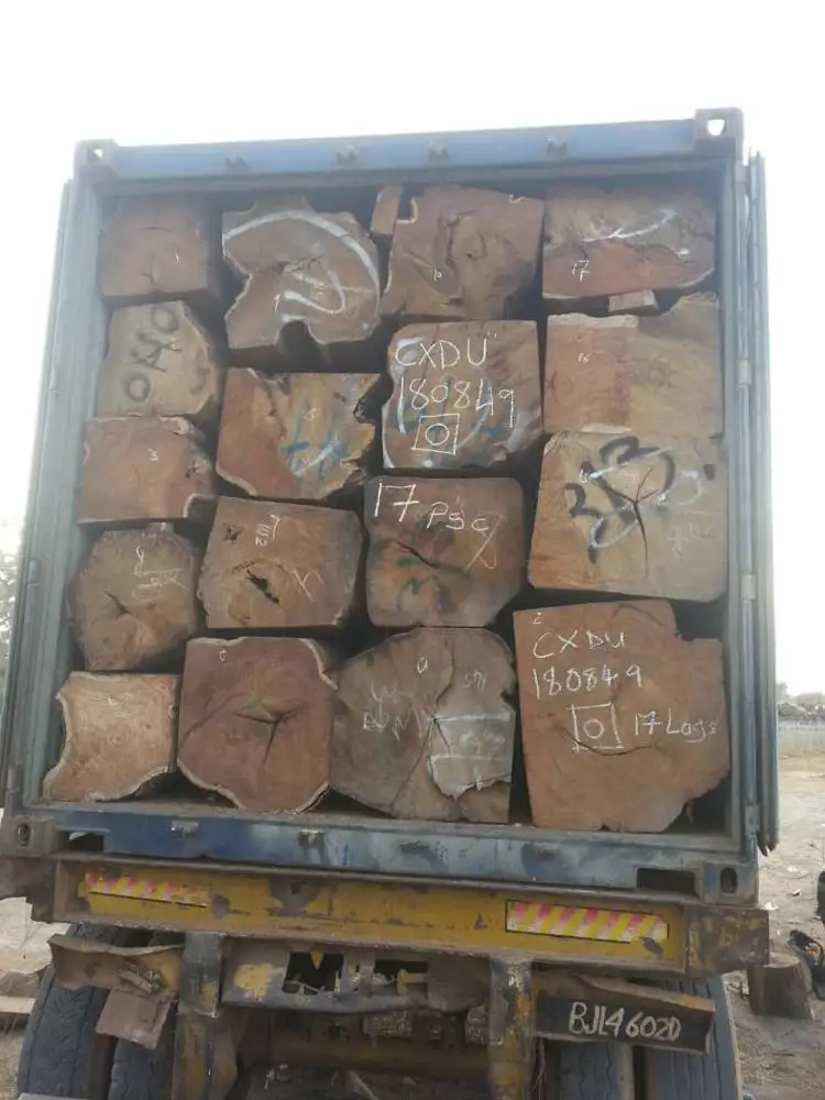 Vaneer White oak logs for timber