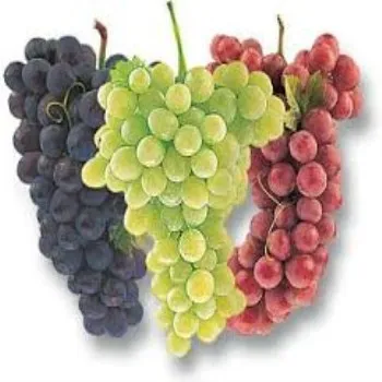 Excellent fresh Egyptian grapes 2020