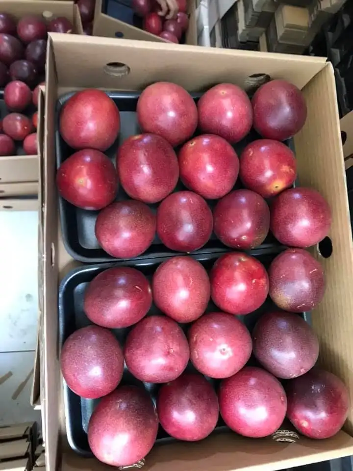 Высококачественный концентрат страсти без семян в бутылке оптовая продажа +