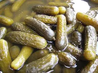 Gherkins in Salt Brine