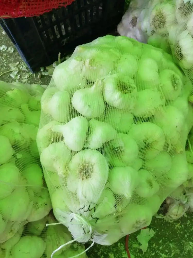 dry white & Purple  Garlic for export 2019