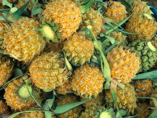 HASU лучший выбор премиум класса 2021 Новый Урожай милый свежий мини Ананас Фрукты отправка из Вьетнама