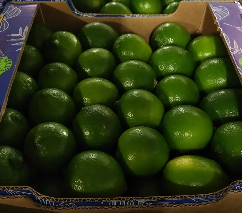 
Саженцы свежего лимона, сладкого и кислого лимона 