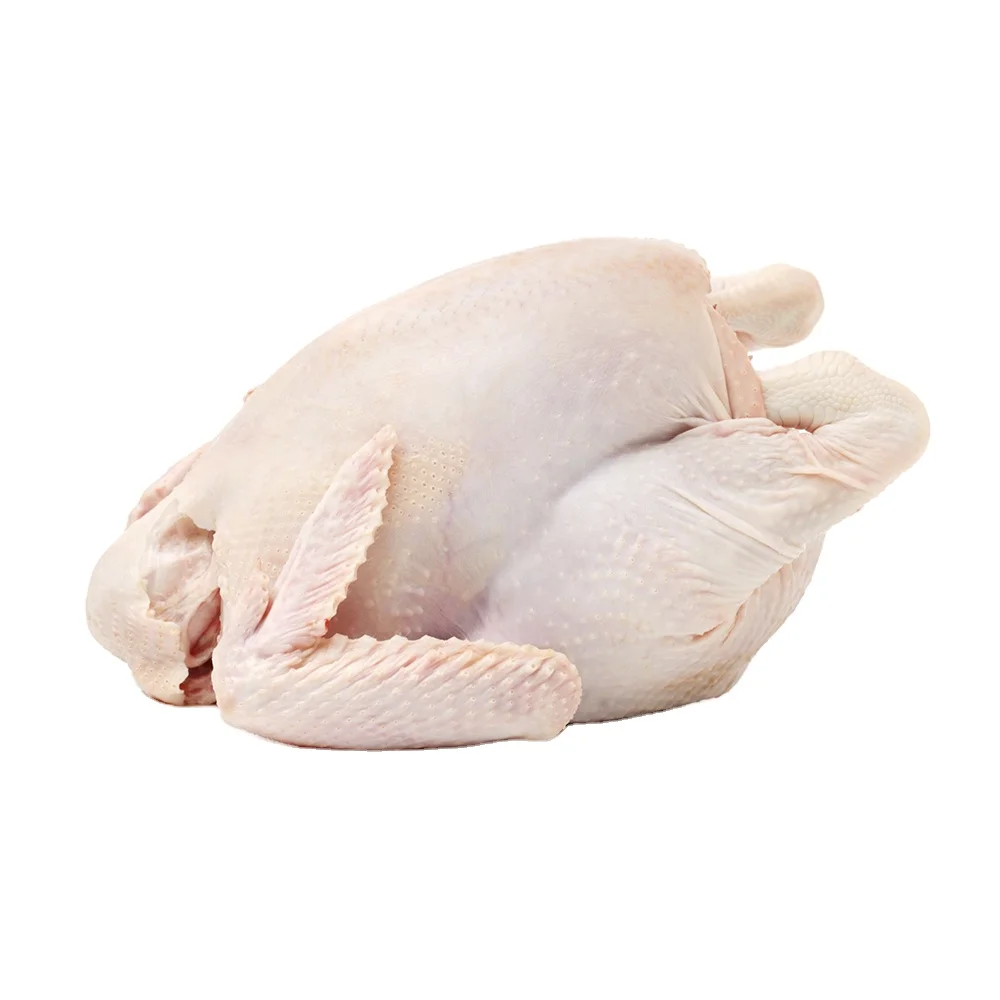 
Best Selling Frozen Whole Chicken 
