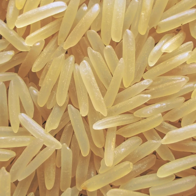 1509 Golden Sella Basmati Rice