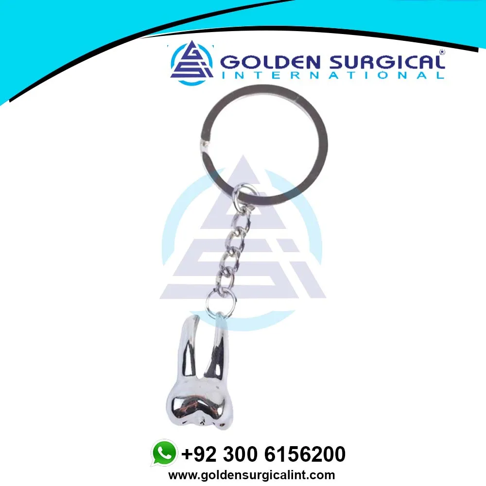 Custom Teeth Keychain Dentist Decoration Key Chains Stainless Steel Tooth Model Shape Dental Clinic Gift Wholesale