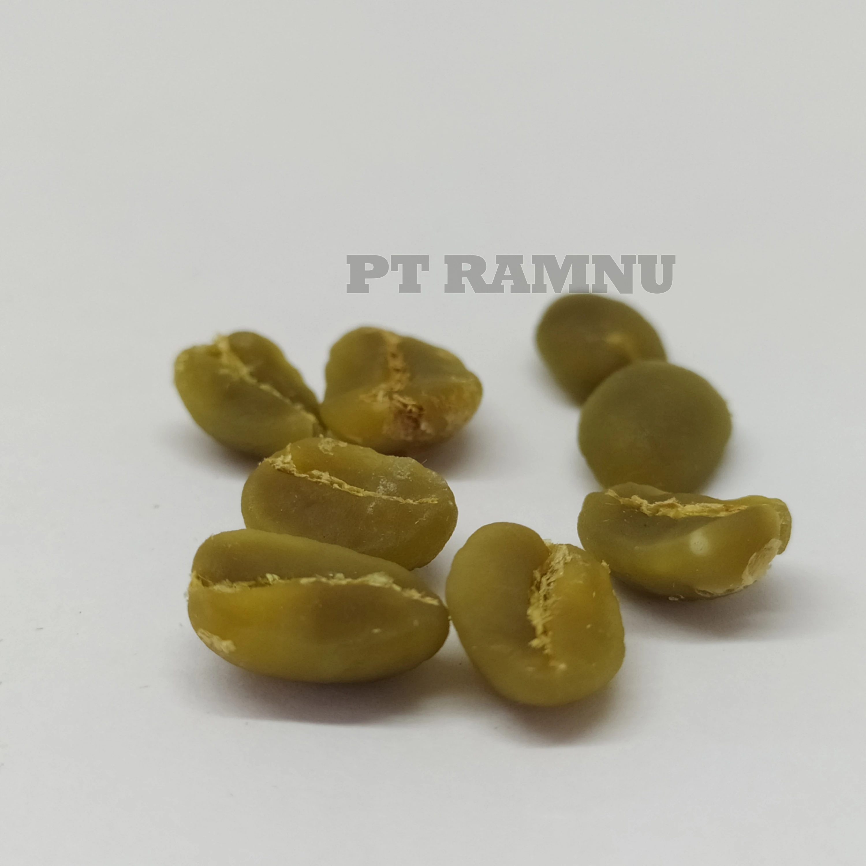 
Green Coffee Beans Robusta from Indonesia 