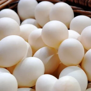 
Chicken eggs direct from poultry 