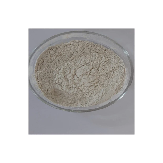 Factory Sale Bifidobacterium Longum Pure Natural Probiotics Bifidobacterium Longum Probiotics - Zealmax Biopharma