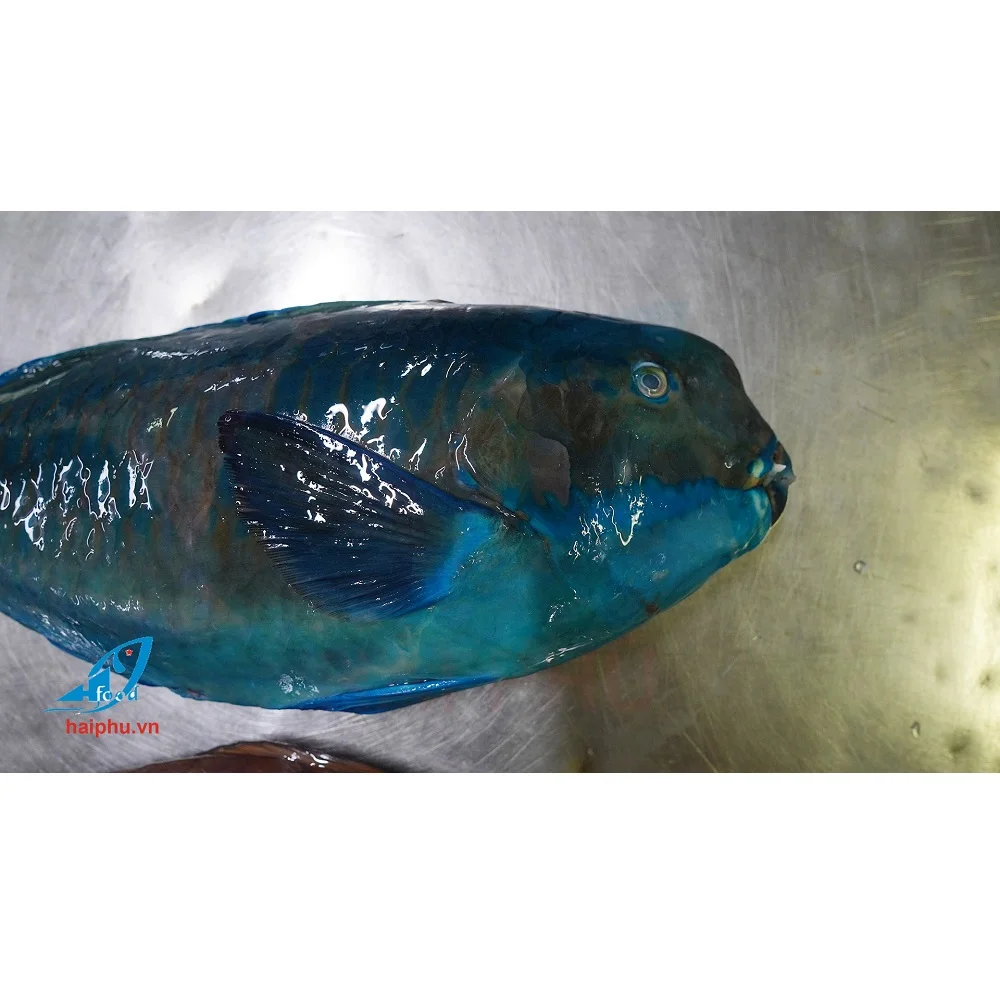 Замороженный попугай рыба безголовая высокое качество, хит продаж VN