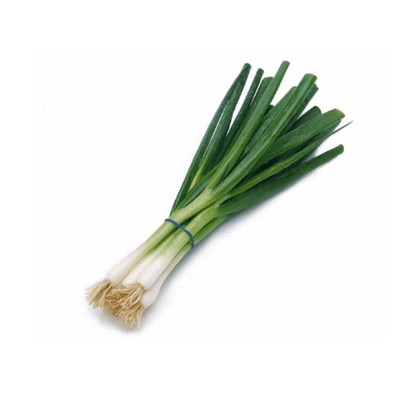 
Wholesale Dealer Of Cheapest Price Fresh Vegetables Scallions 