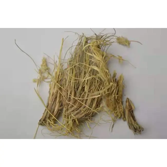 Сырая Лимонная трава (Cymbopogon) свежий сельскохозяйственный