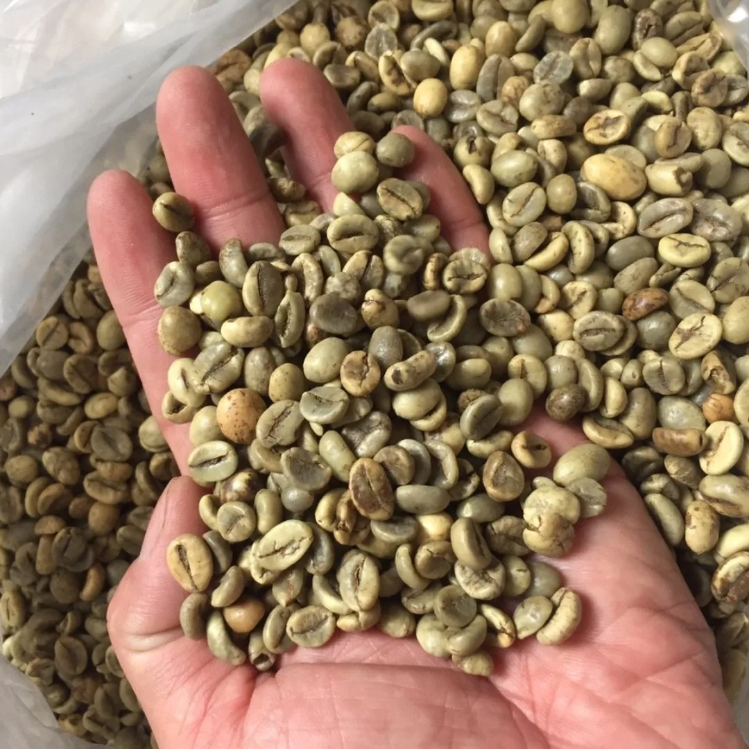 Кофе в зернах ROBUSTA SCR 13