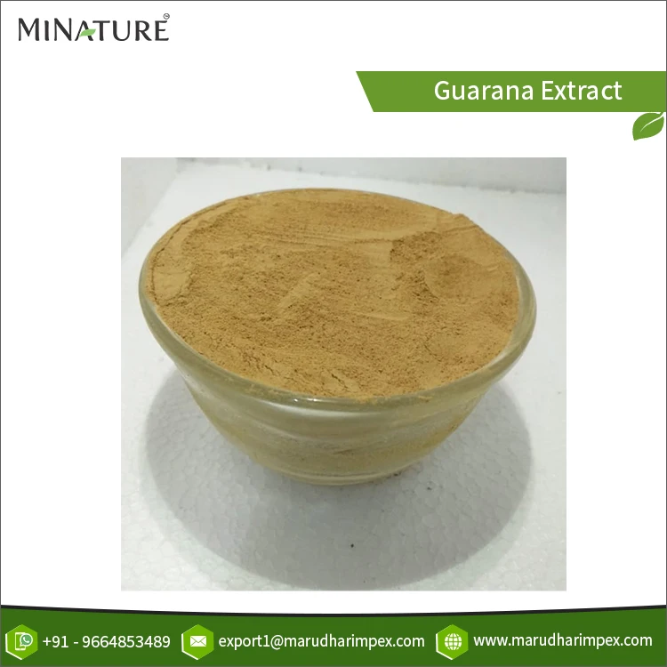 100% Reliable Quality Pure & Natural Guarana Seeds Extract Herbal Powder for Wholesale at Direct Factory Price