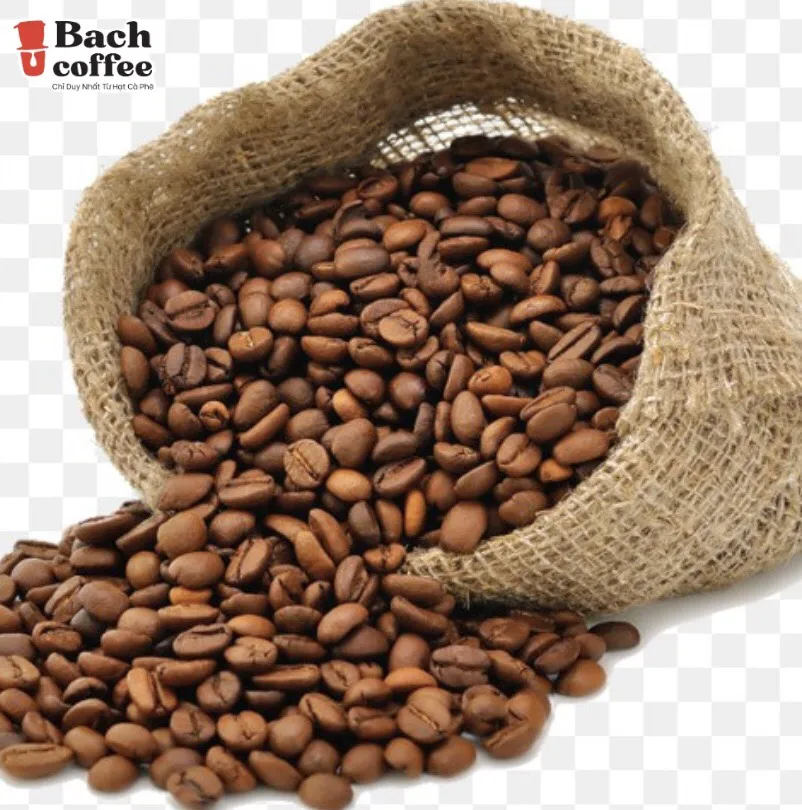 Лучшая конкурентоспособная цена/кофе Арабика с капелькой для разлива на кофе/лучшее путешествий дома офиса кемпинга