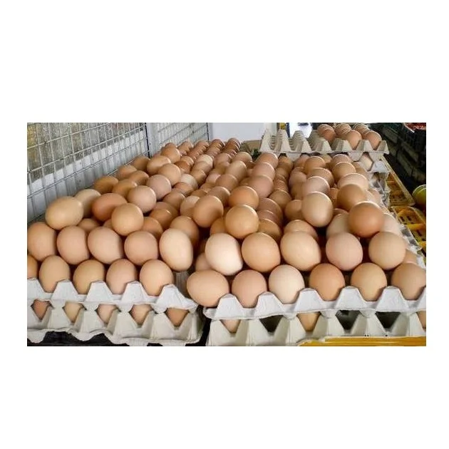 
Premium Quality Chicken Table Eggs Brown And White Shell Chicken Egg Bitumen At Whole Sale Price 