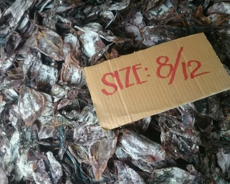 
HIGH QUALITY - DRIED BLACK SQUID 