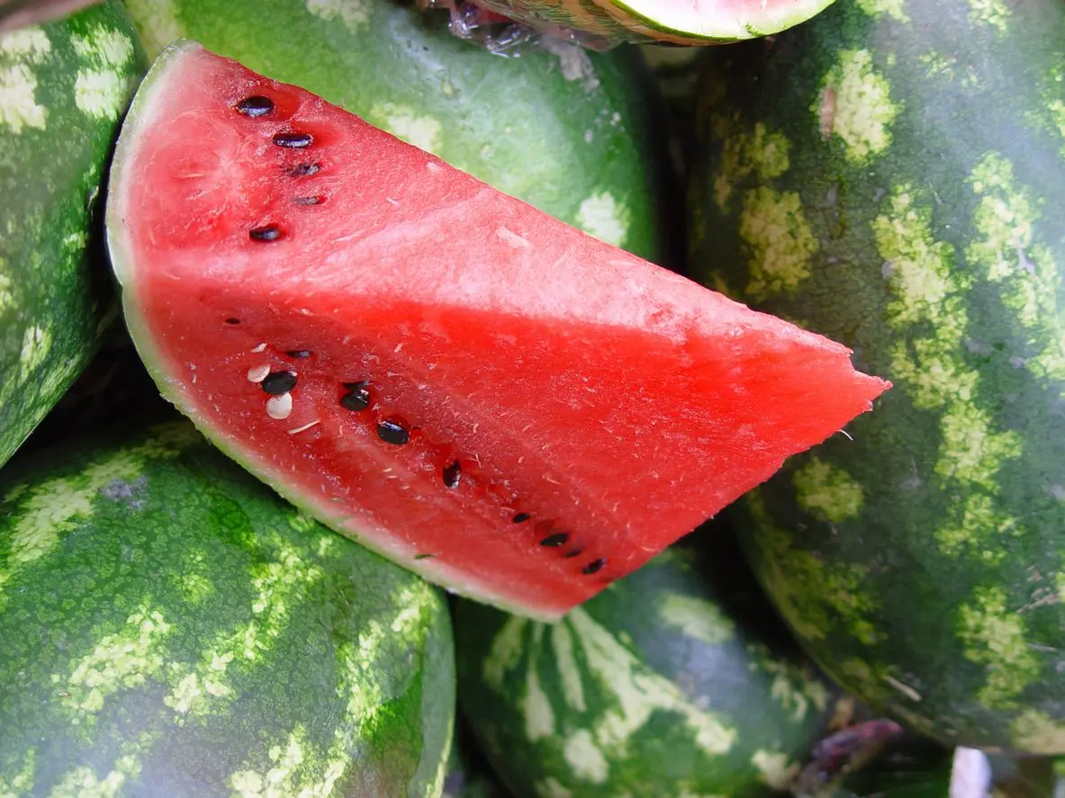 
WHOLESALE FRESH WATERMELON 