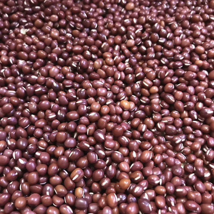Фасоль azuki adzuki beans, маленькие красные фасоли mung