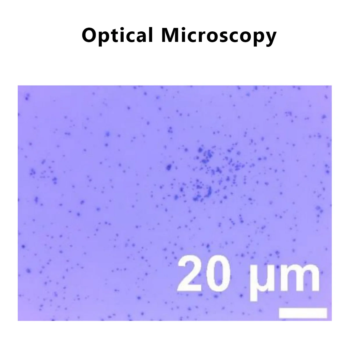 
Industrial Grade High Purity (<10 Layers) Graphene Powder to Improve Ballistic (Bulletproof) Properties [Made in Singapore] 