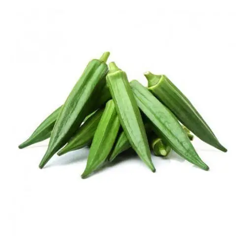 Fresh Okra high quality for sale