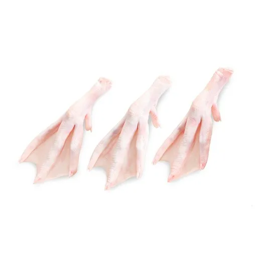 FROZEN DUCK FEET / FROZEN HALAL DUCK WINGS / DUCK PARTS