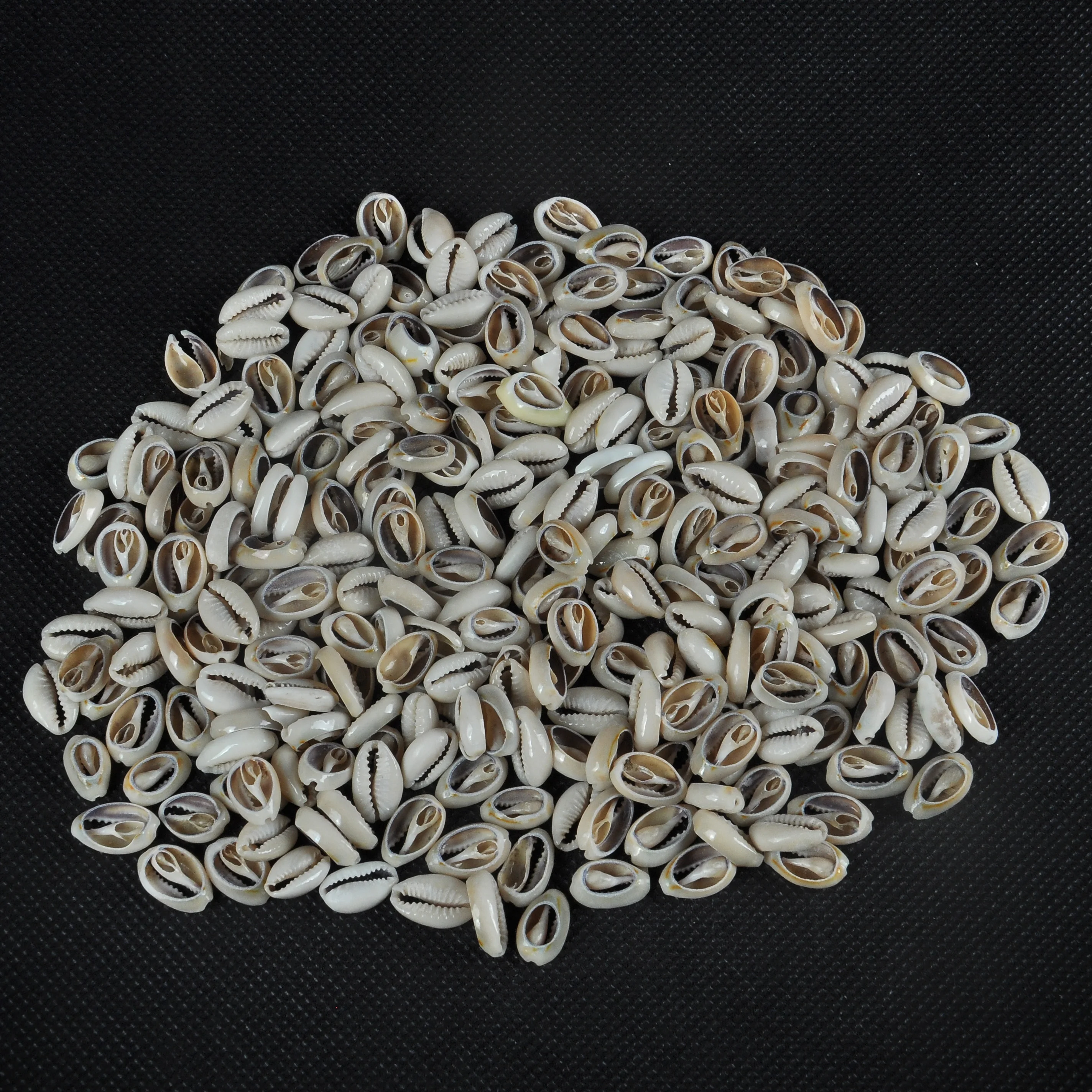  Натуральная морская раковина «сделай сам» используется для украшения дома