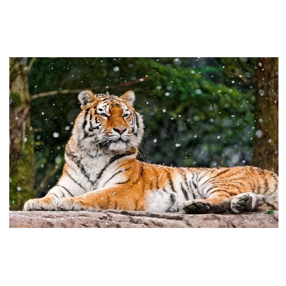 
Российское туристическое агентство путешествие из Японии по морю в байкальское озеро бизнес-путешествия 