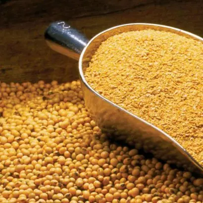 
yellow soybean/soya bean 