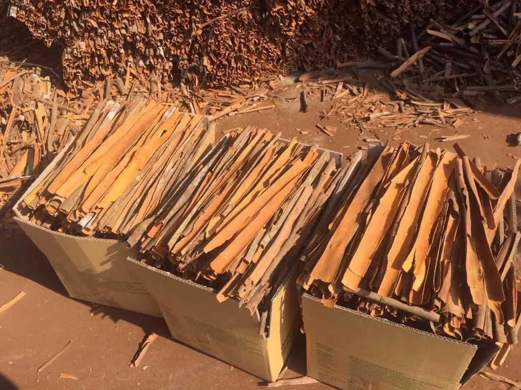 cassia powder Top product 100% Natural Dried Cinnamon powder made in Vietnam 2022 cinnamon oil