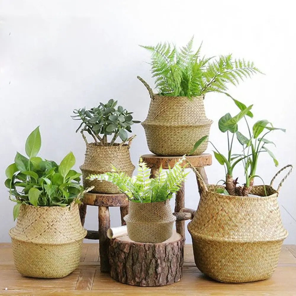 Direct Manufacturer Biodegradable Indoor Seagrass Pot Flowers Rattan Home Indoor Pot Flowers From Vietnam