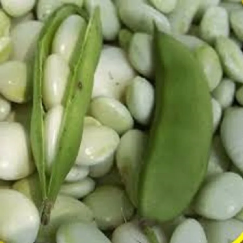 Качественные Лима