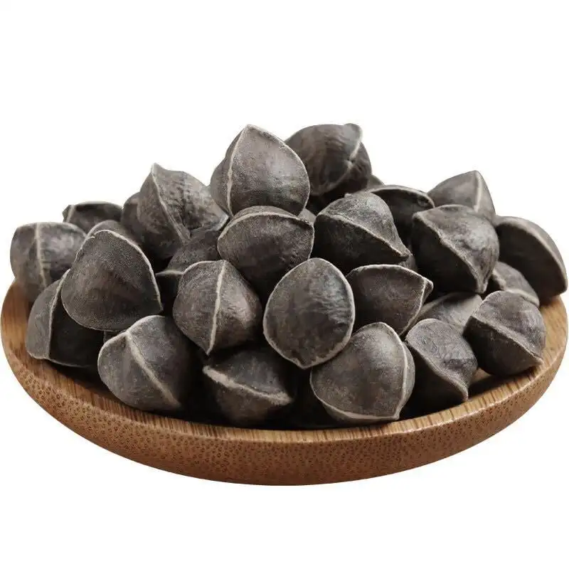 PKM1 Wingless Moringa / Oleifera Seeds  for Oil Extraction / human Consumption / Health benefits from India Agri Farm