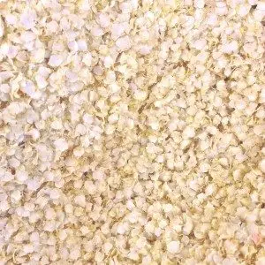 
Premium Grade Quinoa Gelatinized flakes with High Protein Content 