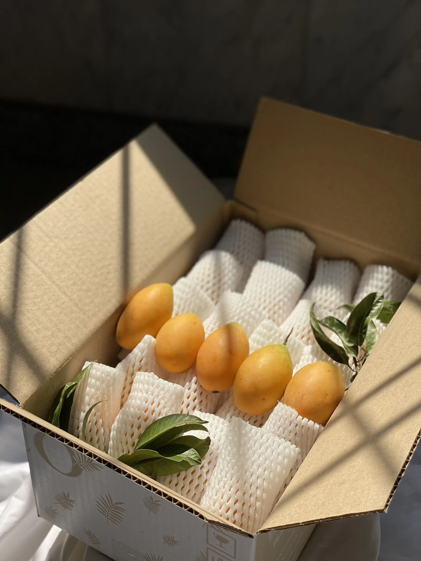 Thailand Premium Fresh Marian Plum (mayongchid)