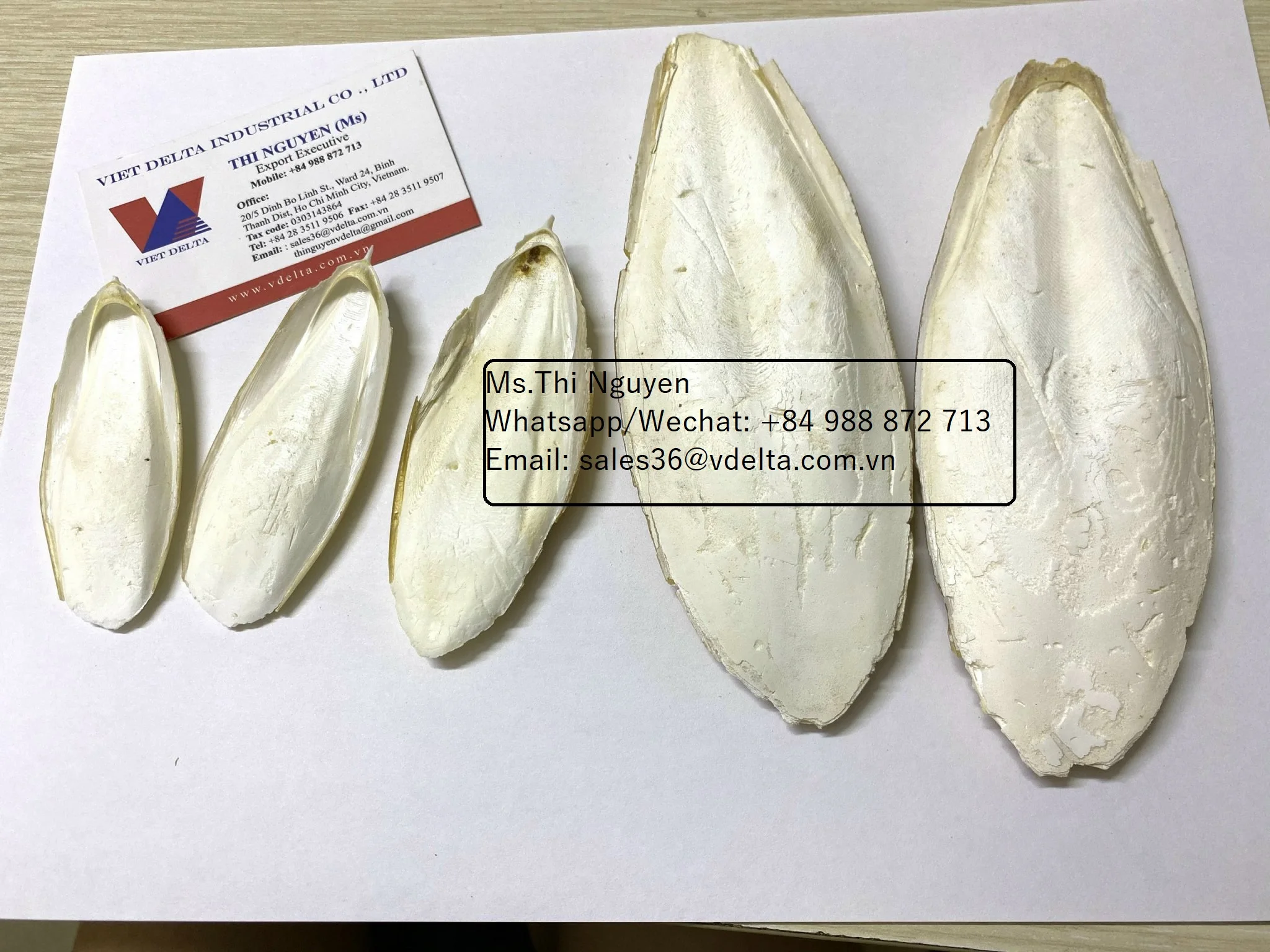 Лучшая еда для костей из Вьетнама птиц и животных сушеные шлёлли/Ms.Thi Нгуен + 84 988 872 713