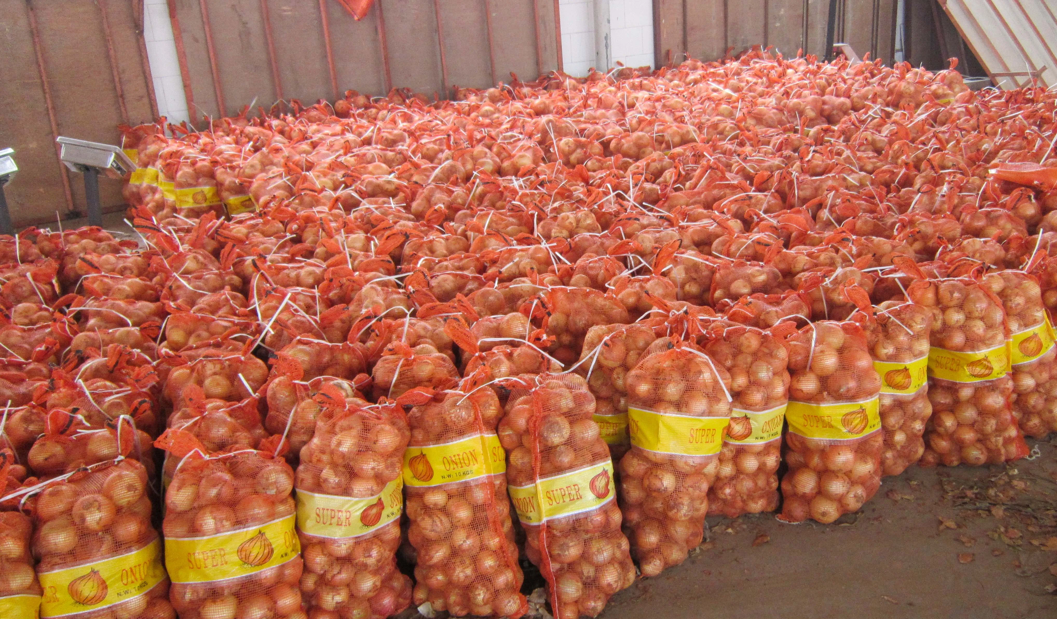 Onionfresh лук оптовая продажа свежий пухлый