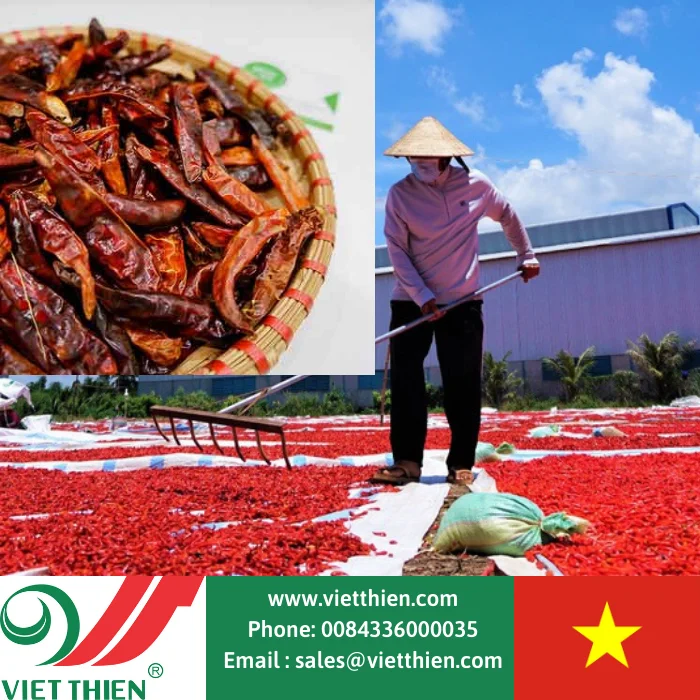 
High quality dried chili with perfect spiciness is processed and supplied from farms in the highlands of Vietnam 