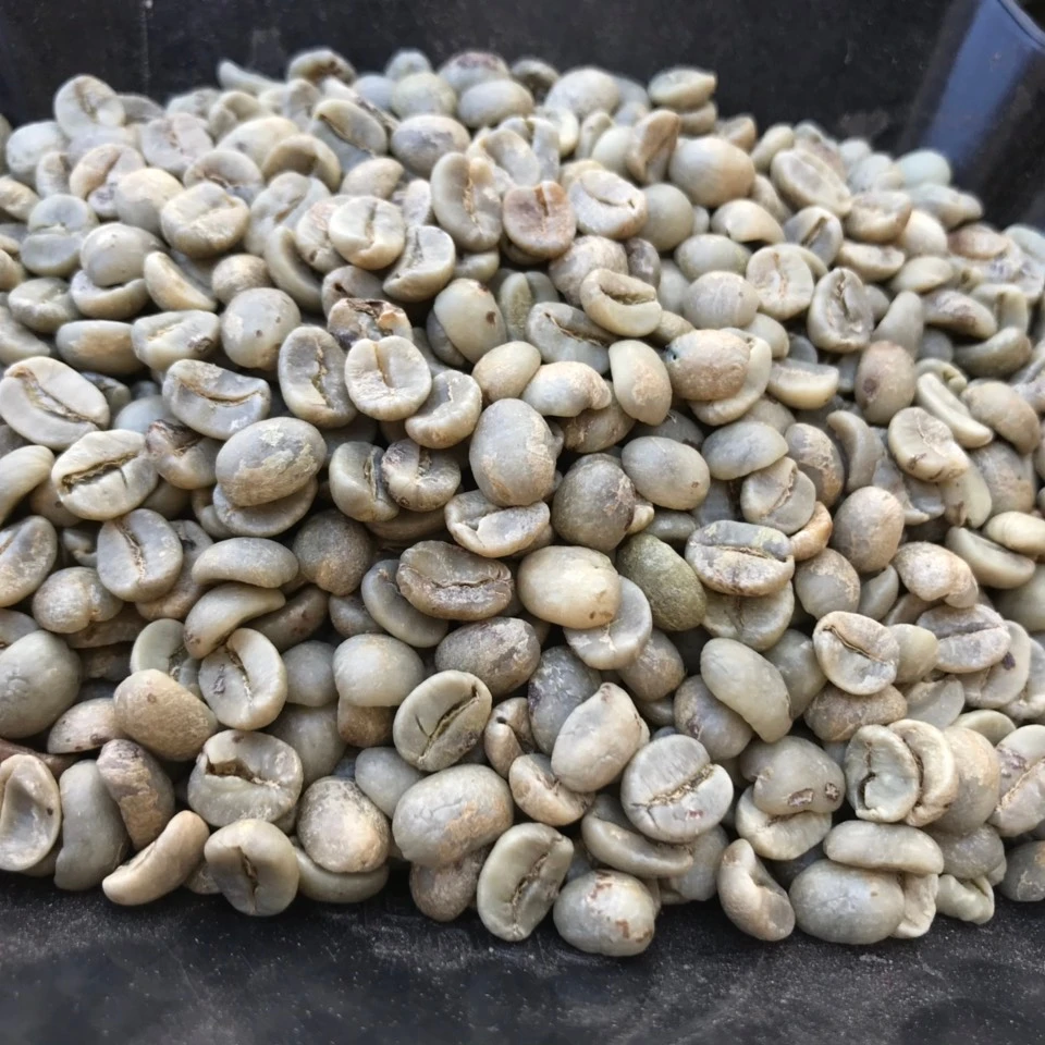 Кофе в зернах ARABICA SCR 18, влажная полировка