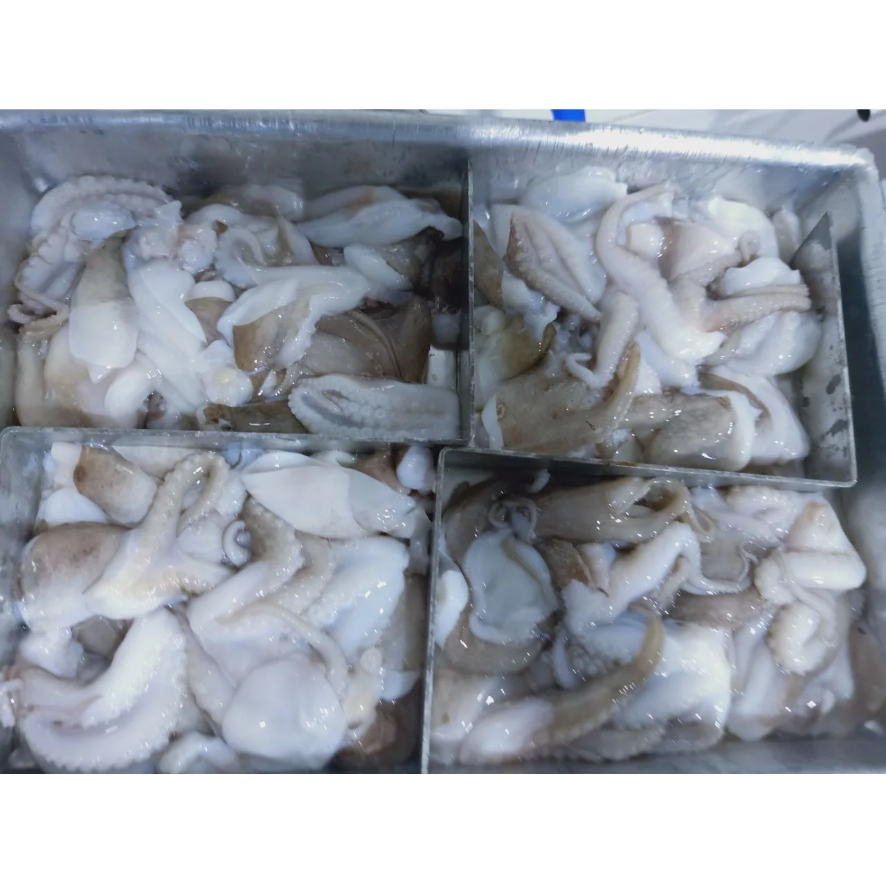 Exporting Bulk Reasonable Price Frozen Whole Baby Octopus From Vietnam Seafood