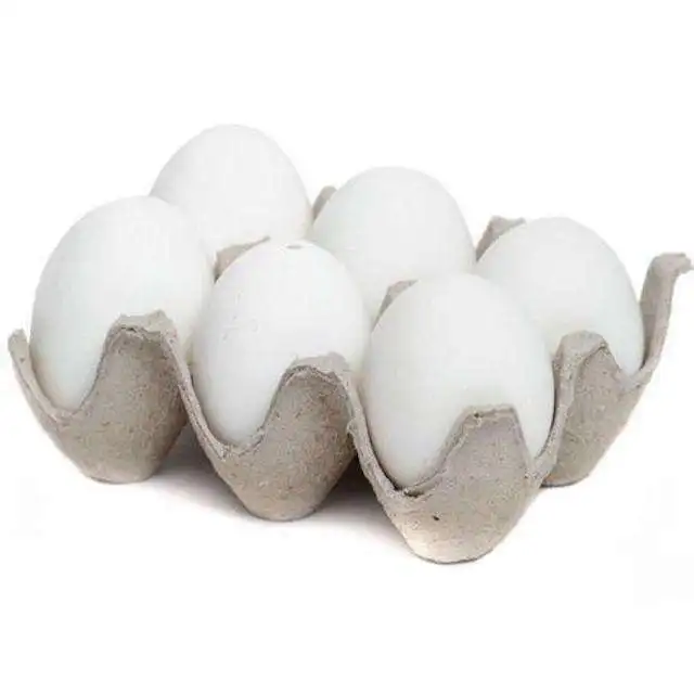 Table Eggs Brown and White Shell Chicken Eggs for sell White Fresh Table Chicken Egg