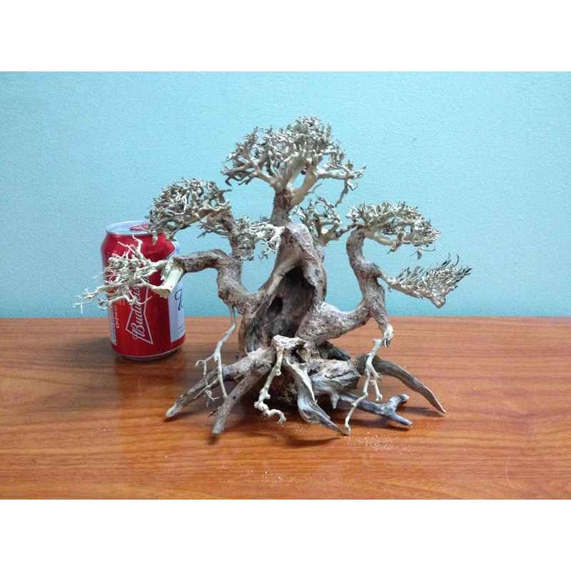 2024 популярные товары аквариума аксессуары для бонсай коряги украшения WhatsApp + 84 961005832