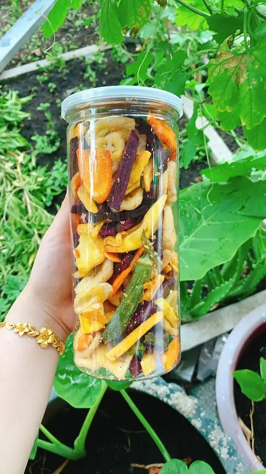 Mixed Dried Fruit and Vegetable Chips High Quality From Vietnam/ HIGH QUALITY/ BEST SERVICE