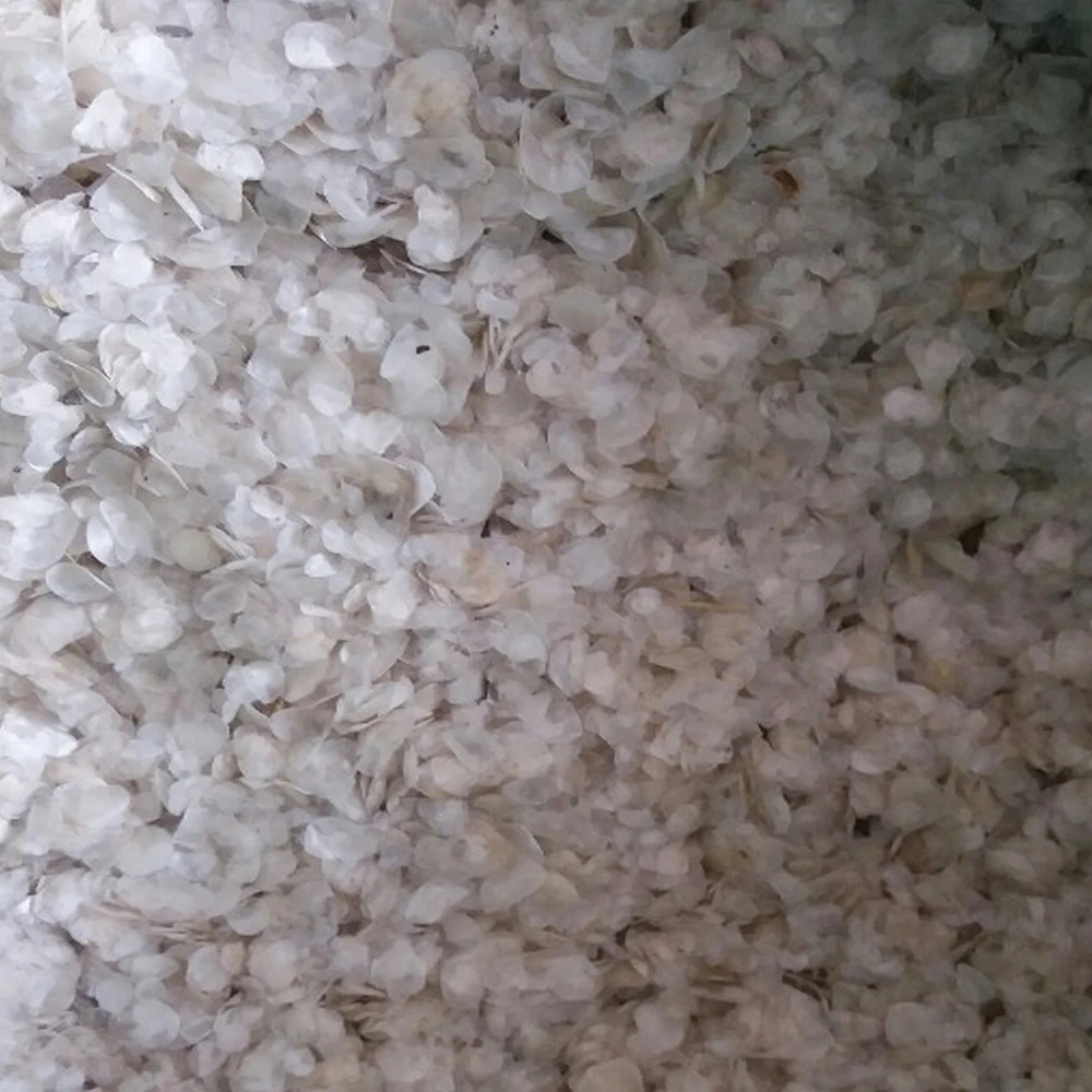 
Dried Fish Scales Dry Scales Dry Fish Scale Fish 