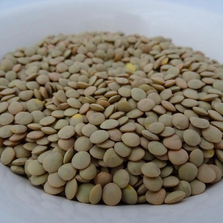 Green Lentils | Red Lentils | Brown Lentils Suppliers